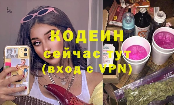 дмт Ельня