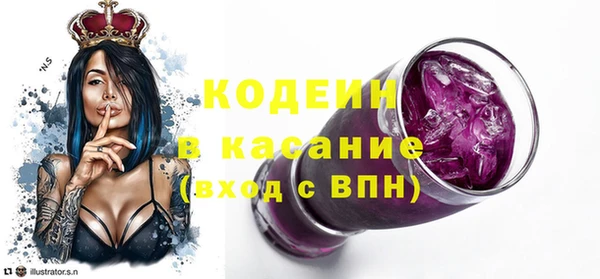 дмт Ельня