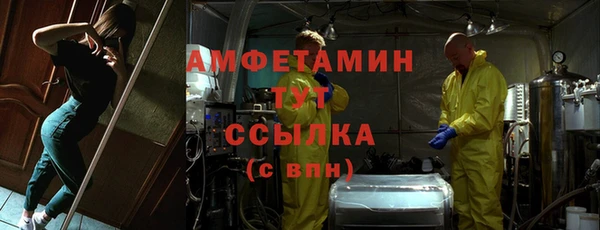 дмт Ельня