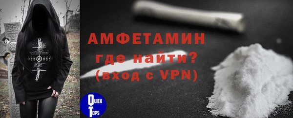 дмт Ельня