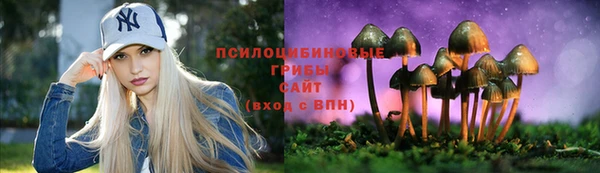 хмурый Елизово