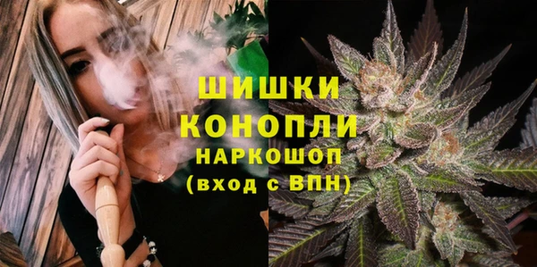 хмурый Елизово