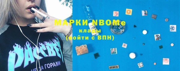 дмт Ельня