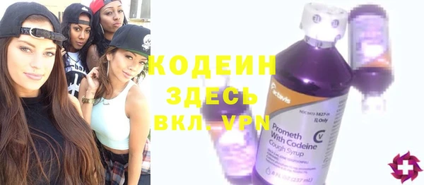 хмурый Елизово
