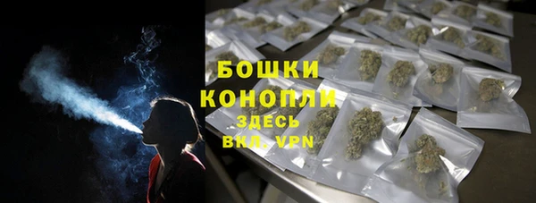 дмт Ельня