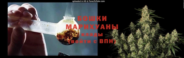 дмт Ельня