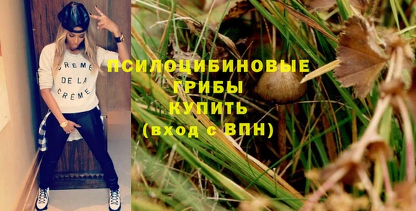 хмурый Елизово