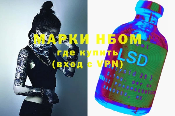 хмурый Елизово
