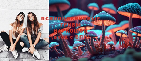 хмурый Елизово