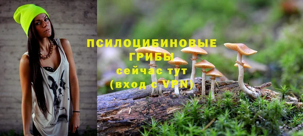 дмт Ельня