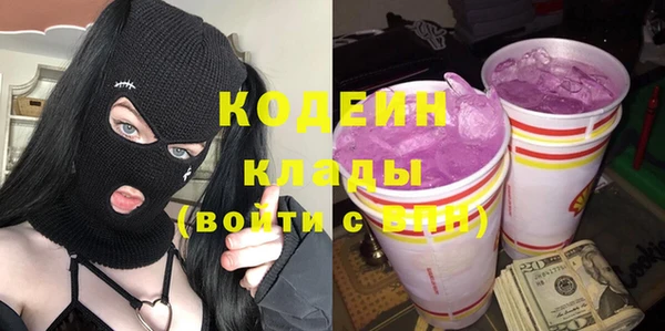 хмурый Елизово