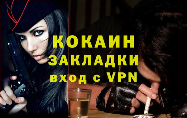 дмт Ельня