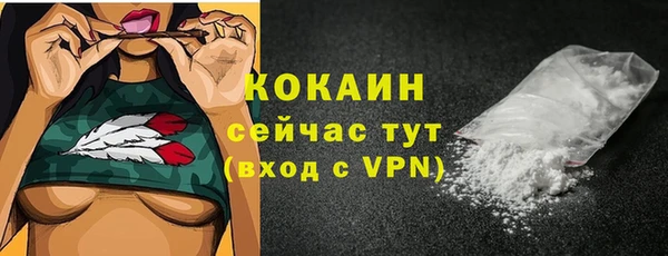 дмт Ельня