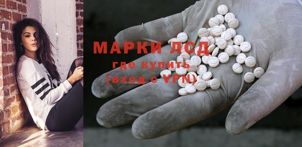 дмт Ельня