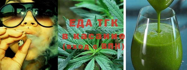 дмт Ельня