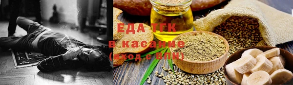 дмт Ельня