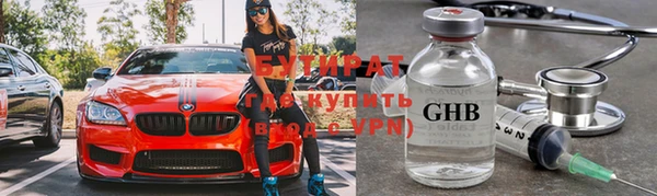 дмт Ельня