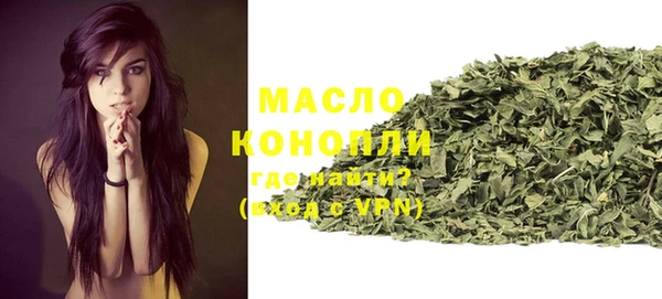дмт Ельня