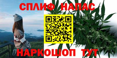 крисы Лесосибирск