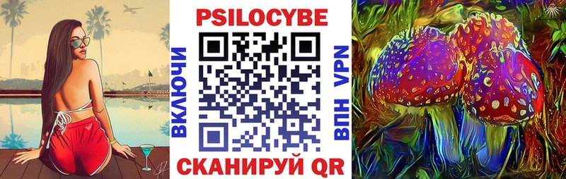 как найти наркотики  Гай  Псилоцибиновые грибы мицелий 
