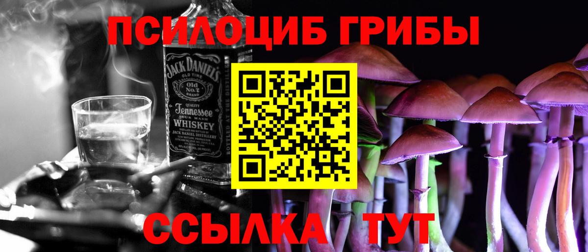 Гай  Псилоцибиновые грибы Psilocybe  Вход с VPN 