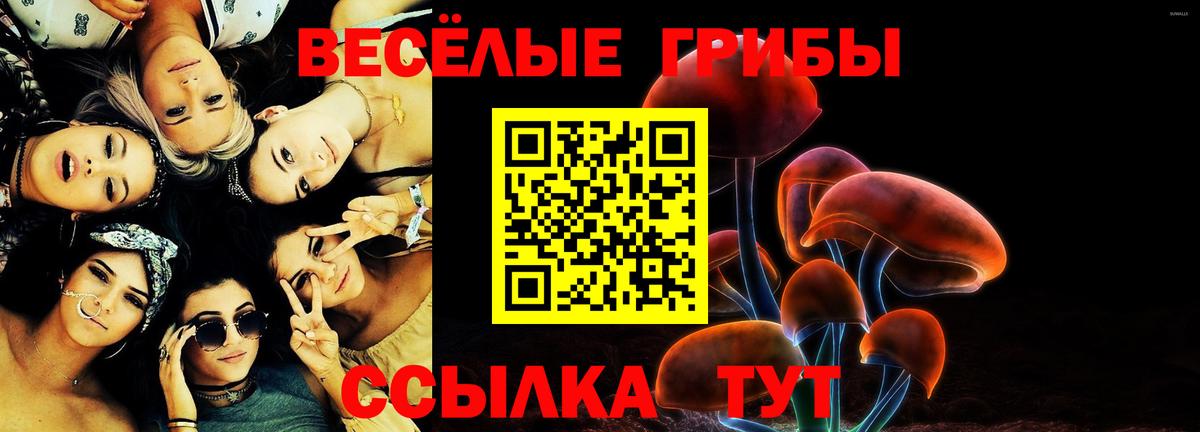 Галлюциногенные грибы мухоморы Гай