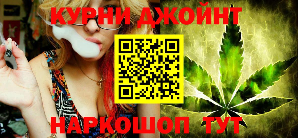 Бошки Шишки семена Гай